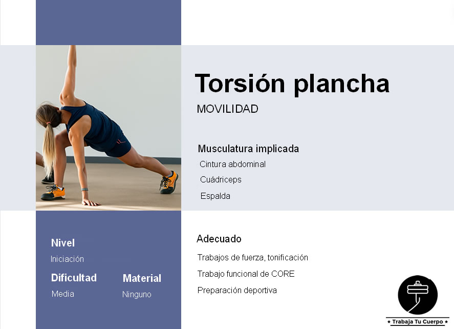 Torsión plancha